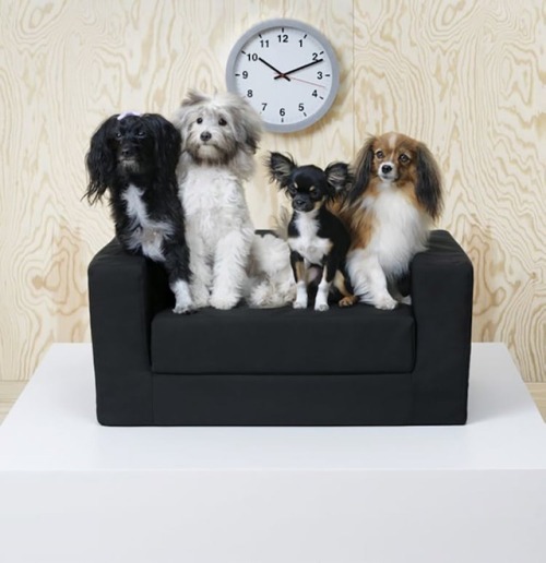 mymodernmet: IKEA Unveils New Pet Furniture Collection Designed in Partnership with Veterinarians