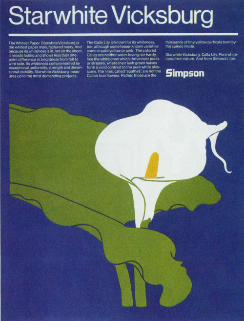 vuls:  Simpson FlowerCognata Assoc., Inc., San Francisco, California, 1982