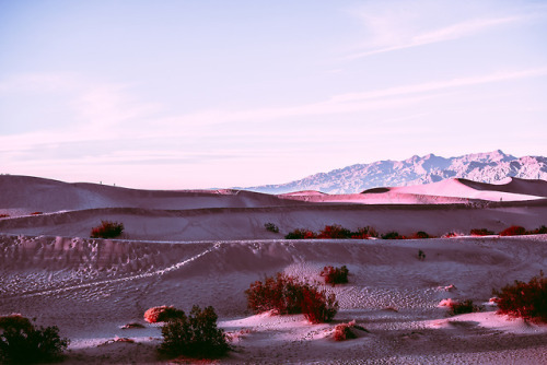 XXX leahberman: dusky desert death valley national photo