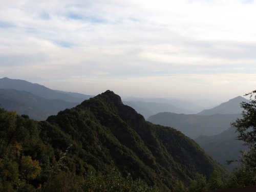 rosesinaglass: Sequoia National Park Sept 2012 by rimlli on Flickr.