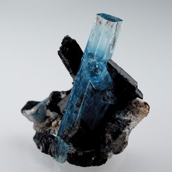 hematitehearts:  Aquamarine & SchorlLocality: