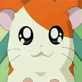 anarchycupcake:  Toonami’s Arsenal [29/88]: Hamtaro (2002 - 2004) “Well … they