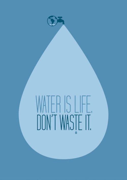 CONSERVE WATER - take shorter showers, don’t leave the faucet on when brushing your teeth, and fix y