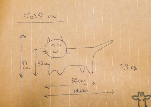 catboymettaton:meowgon: meowgon:  the vet measured junta on sunday, and as we were leaving the assistant said “he wrote down the measurements for you”  and passed me this   delighted that this post has lived on in people’s hearts  [ID: a pen drawing