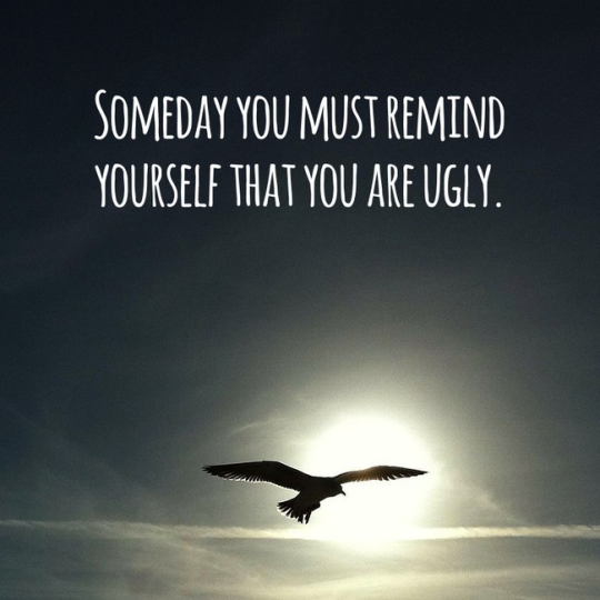 whitesaviorcomplex:  beanpigeon:  thehumorousace:  hawkeyedflame:  its-okae-carly-rae:  flowingblades:  theopjones:  mitigatedchaos:  bunjywunjy:  someone created a random generator that creates randomized inspirational quotes overlaid on random images