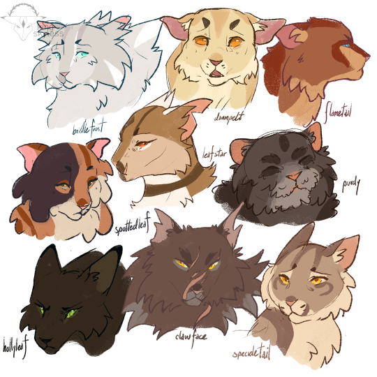 🌟 Warrior Cats sketches🌟 by SkytheHusky21 -- Fur Affinity [dot] net