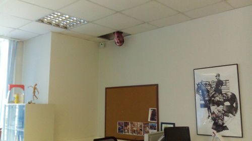 phobs-heh:sirpangur:brownshewolf:So… Our office’s electrician Nikolay.1. The beginning 2. Christmas’