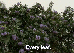 love:  The Tree of Life (2011) dir. Terrence Malick