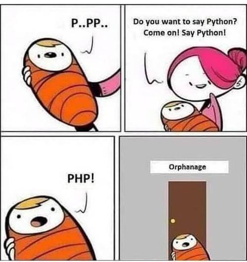 dinners-child:programmerhumour:A Programmer’s Baby…Why are her arms still therethose are its legs