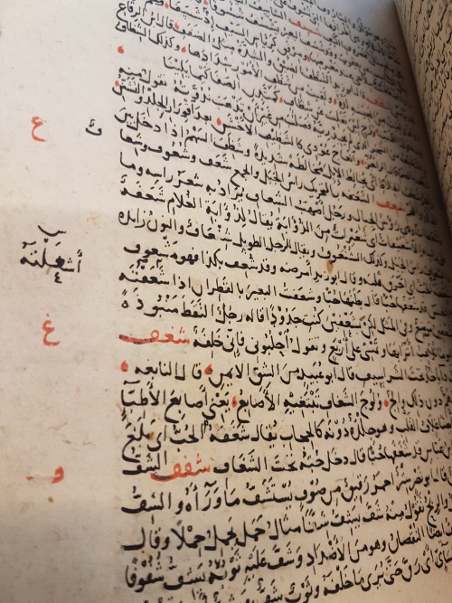 LJS 394 - al-Thānī min al-ṣiḥāḥWritten in Egypt or Syria in the 14th century, this manuscript 