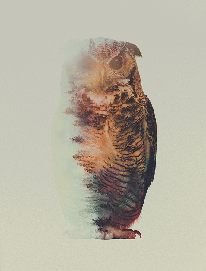 artbylie:  Norwegian Woods by Andreas Lie 