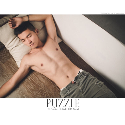 Puzzle  |  Draco . Lightroom adult photos