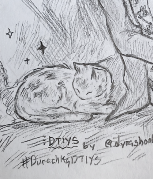 DTYIS Entry!