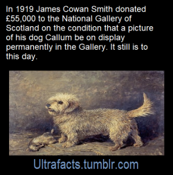 ultrafacts:  Source: [x]Click HERE for more facts!