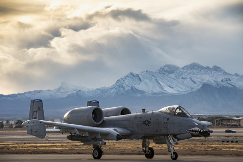 usafraptorpilot: A-10 WarthogVia the United States Air Force