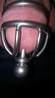 peoriailguy76:  New cage with urethral tube. Not sure how long I will keep the tube in. 