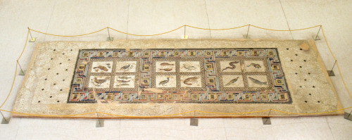 greek-museums: Archaeological Museum of Patra For the life of me I could not find a museum tag for t