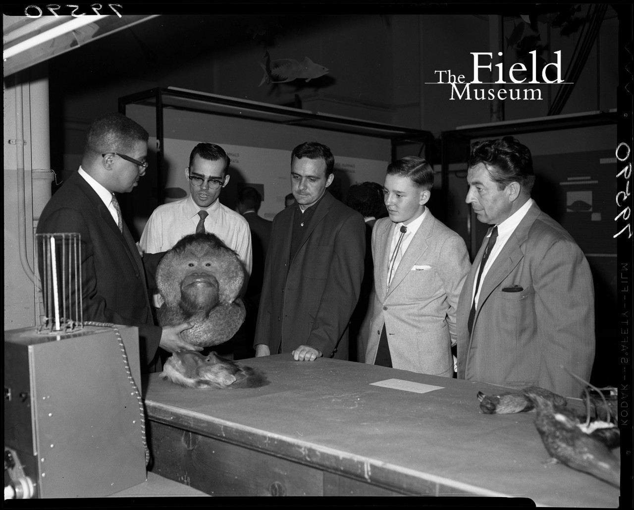 Field Museum Photo Archives