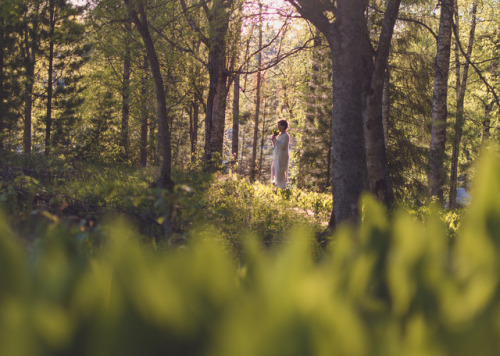 summer evenings ~