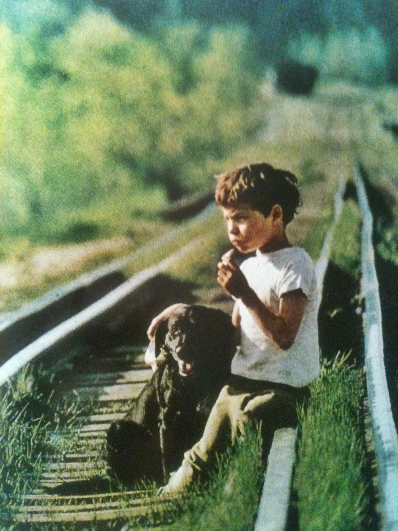 justenoughisplenty:
“On the tracks of the sawmill railroad, a young boy and his dog steal a sunbeam or two from the eternal summer of boyhood.
National Geographic - August, 1974
”