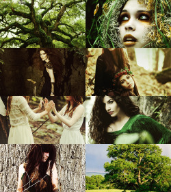 emptymasks:  Mythology Meme - [3/6] Muses and/or Nymphs - Dryad  The Dryades &amp; Oreiades were the beautiful Nymphs of the trees, groves, woods and mountain forests. They were the ladies of the oaks and pines, poplar and ash, apple and laurel. For