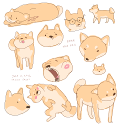 Hamotzi:some Doggies Before Bed!! These Guys Are Pretty Popular Nowadays