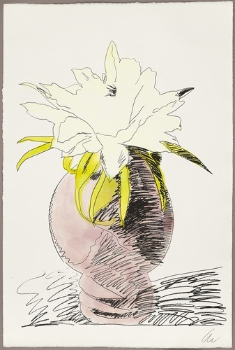 aic-drawings:Flowers (Hand-colored), Andy Warhol, 1974, Art Institute of Chicago: Prints and Drawing