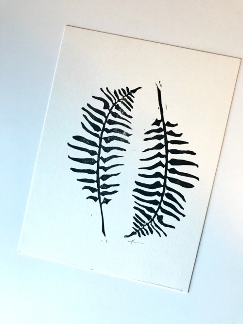 Sword Ferns, Polystichum munitum
Linoleum Block Print
6 x 8 inch. 2018. Ink on Paper