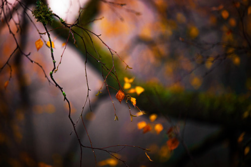 milamai:October songby Milamai