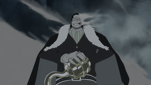 Doflamingo And Crocodile Shots From One Piece Fan Letter