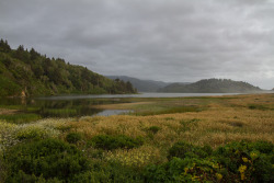 openbooks:  Stone Lagoon.Humboldt Lagoons State Park, CA. June 2015.