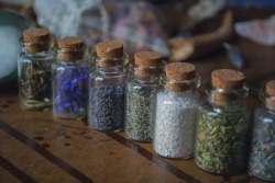 recreationalwitchcraft:  Top 10 Herbs for