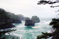 hannahaspen:  Cape Flattery, Makah Reservation,