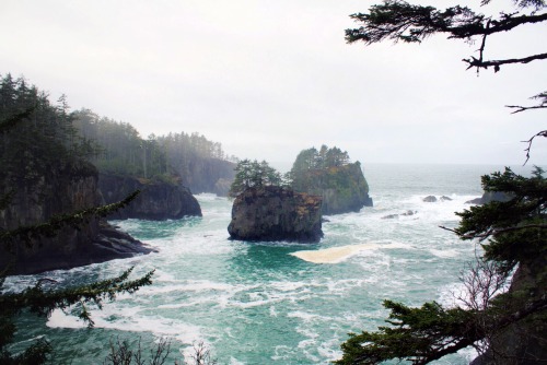 aspencreative:  Cape Flattery, Makah Reservation, WA © Hannah Aspnes DO NOT REPOST