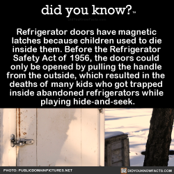 did-you-kno:  Refrigerator doors have magnetic