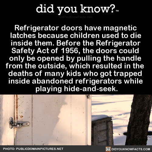 Porn Pics did-you-kno:  Refrigerator doors have magnetic