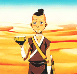 noctiscaelums:  the cactus juice chronicles ft. Sokka 