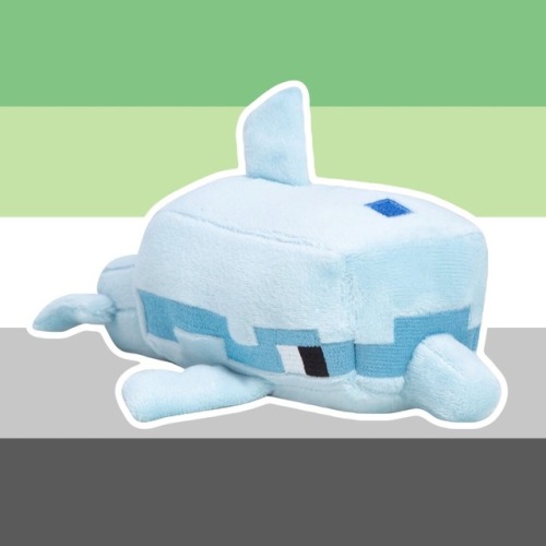 Aromantic Dolphin