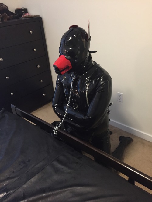 rbrlover: Then a sexy rubber pup joined in to help use the rubber toy. The pup found a hole to burry his thick pup meat and make the blinded rubber toy moan and scream