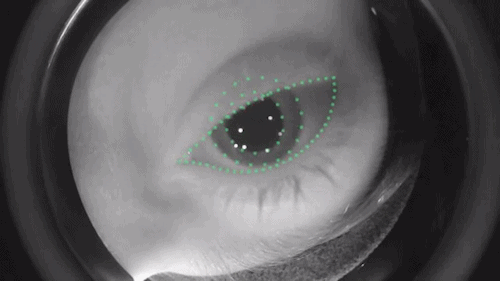 Eye tracking in the HTC Vive ProShort video from Cubic Motion presents a debug-view of eye-tracking 