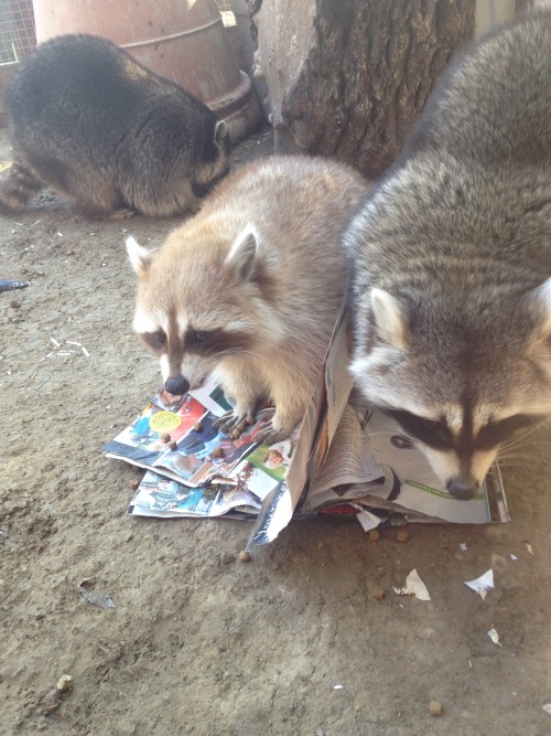 dirkdiggler153:Can’t get these guys to stop reading the Hollywood gossip!