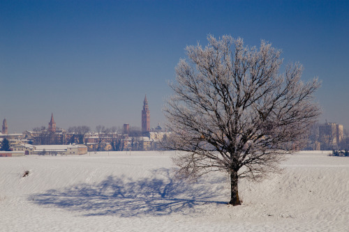 cremona