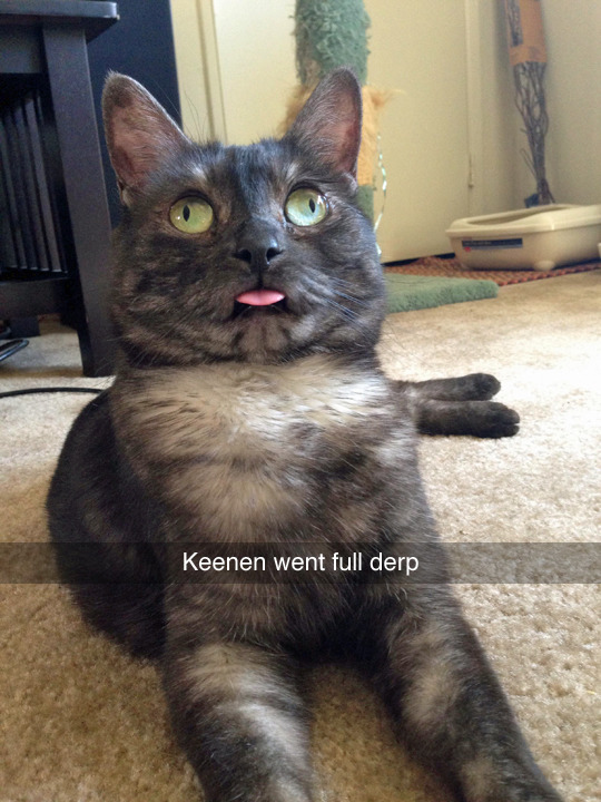 tastefullyoffensive:  (photo by dcchfdg) 