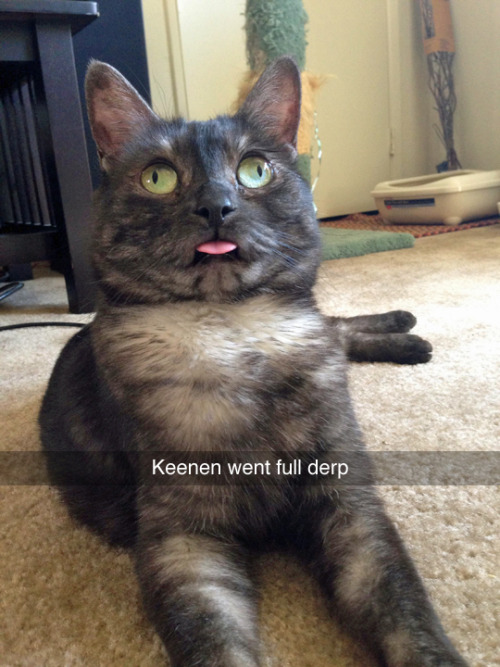 tastefullyoffensive:  (photo by dcchfdg) 