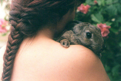 arquerio:  untitled by shuni evil on Flickr. 