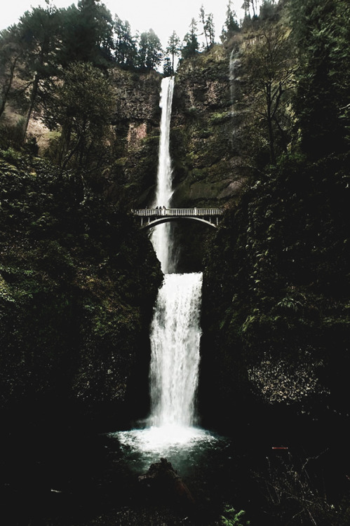 motivationsforlife:  Waterfall by Erica Spin // Edited by MFL