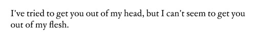 Could Have, Wisawa Szymborska // Written In The Blood, Jeanette Winterson // Stop Texting Me, Jasmine