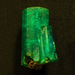 amnhnyc:  Well-formed emeralds preserved