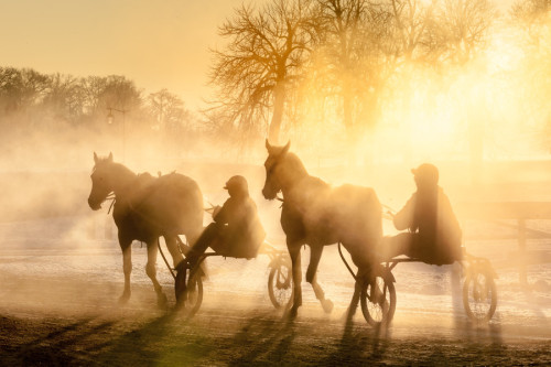 coletassoft: Trot en hiver by Alain Bachellier - ift.tt/1eFZXEb