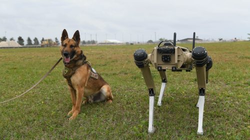 Sunny, a 325th Security Forces Squadron military working dog, poses next to a Quad-legged Unmanned G